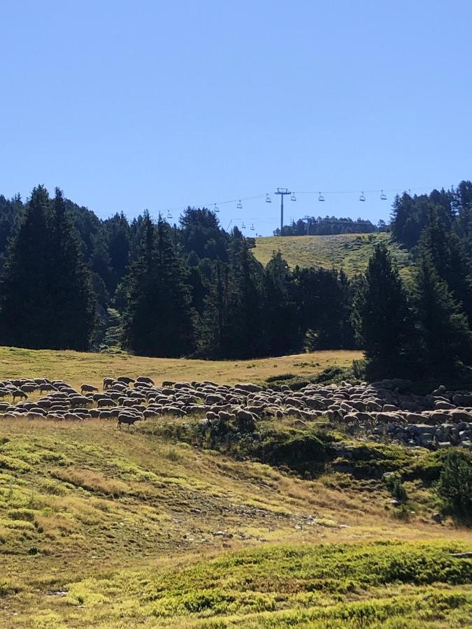 Appartement Cosy A Chamrousse Avec Vue Sur Montagne + 34M² Esterno foto